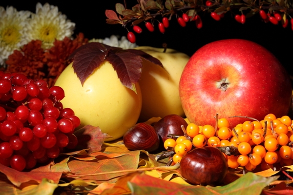 Képtalálat a következőre: „őszi gyümölcsök kép”